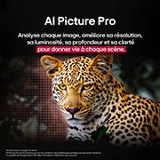 Leopard in the forest in vivid color and detail. The leopard has a grid and a light glowing behind it, indicating how LG AI Picture Pro made impressive visual enhancements to the scene's resolution, brightness, depth, and clarity.