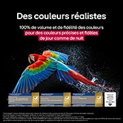 Colorful parrot in ultra-high definition against a black background. Water drops are suspended in the air all around it. The image showcases Perfect Color as each different hue on the parrot's body is vibrant and vivid. Different logo certifications from UL and Intertek are visible. These refer to 100% Color Fidelity and 100% Color Volume. Text is also visible, check the Perfect Color certification mark.