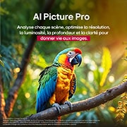 Une image de paysage d’une grotte donnant sur un ciel bleu clair, divisé au milieu, la moitié de l’image est estompée et l’autre moitié présente un contraste net. En bas à gauche se trouve une petite image de la façon dont les éclairages LED traditionnels sont placés et à droite se trouve une petite image de la façon dont les éclairages LG sont placés, de manière plus complexe. Le titre parle de la façon dont la technologie de variation de la précision offre une image plus nette.