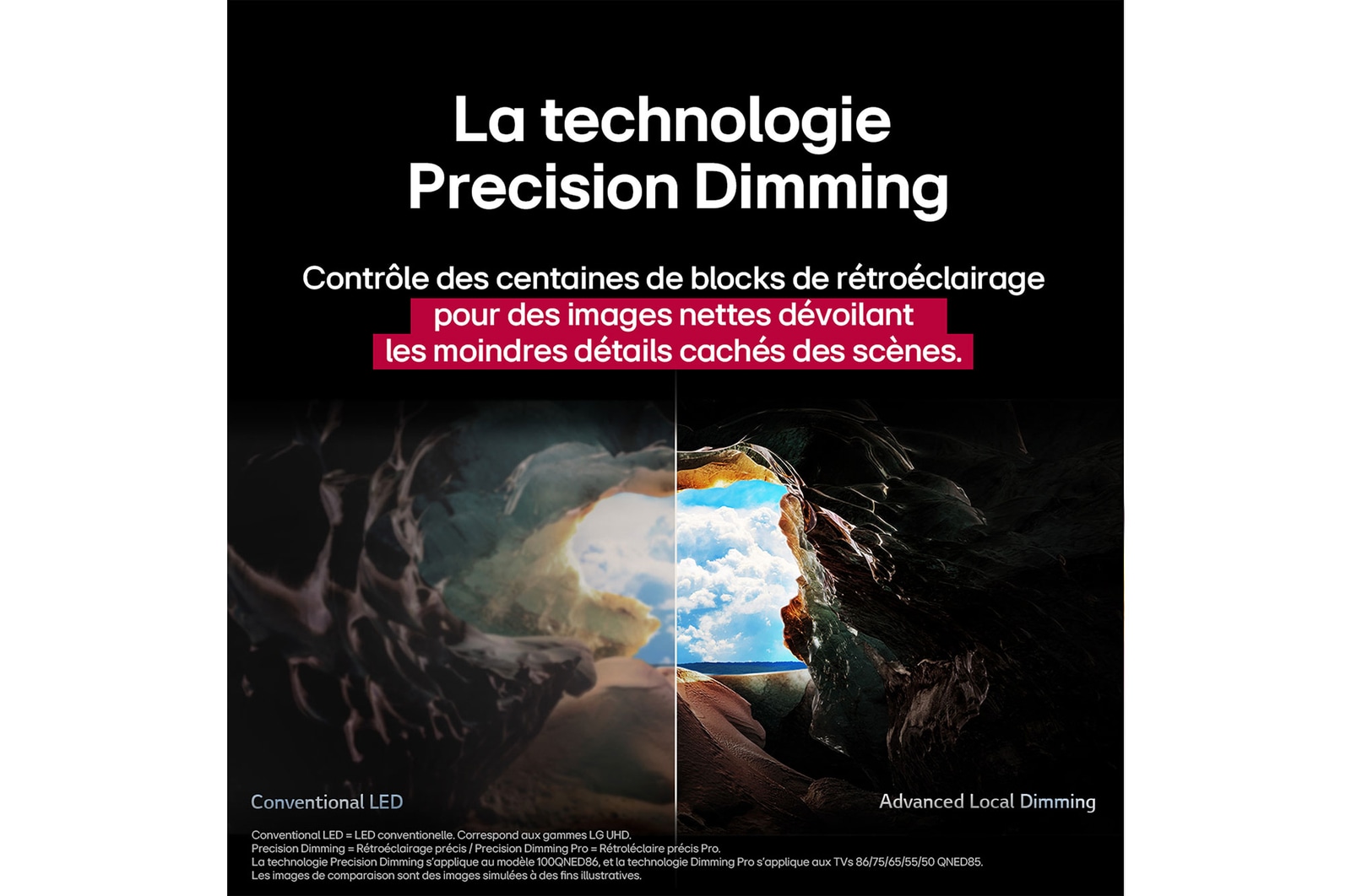 Parrot on a tree branch in vivid color. Short text describes how AI Picture Pro analyzes each frame to enhance resolution, brightness, depth and clarity.