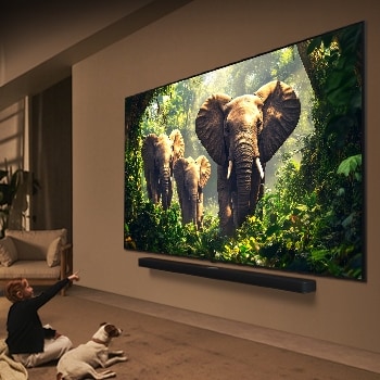 Une fille et un chien sont assis devant une LG QNED TV installée sur un mur représentant trois éléphants marchant vers l’extérieur au-dessus d’une LG Soundbar. Le titre évoque la façon dont chaque scène d’action est plus palpitante sur un très grand écran.