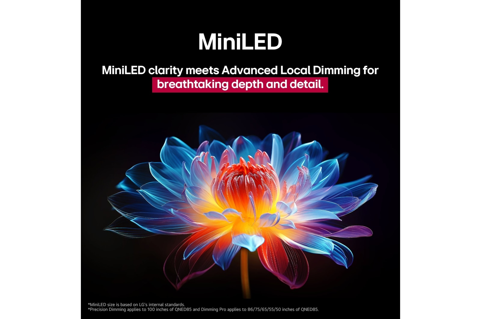 Fleur holographique en 3D dans de nombreuses nuances différentes sur un fond noir. La définition et les détails de la fleur montrent la capacité de la MiniLED de QNED à produire des visuels aux couleurs, à la luminosité et au contraste exceptionnels. Le titre évoque la façon dont la MiniLED améliore la clarté et offre un contraste exceptionnel.