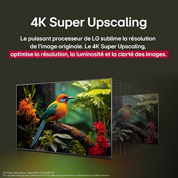Comparaison avant et après de la façon dont la mise à l’échelle supérieure LG 4K améliore la qualité d’image. Deux panneaux montrant la même image d’un oiseau coloré assis sur une branche dans une forêt, le panneau de droite est estompé. Le titre évoque la façon dont la technologie de mise à l’échelle supérieure 4K améliore la résolution, la luminosité et la clarté.