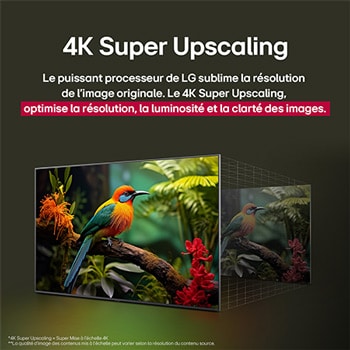 Comparaison avant et après de la façon dont la mise à l’échelle supérieure LG 4K améliore la qualité d’image. Deux panneaux montrant la même image d’un oiseau coloré assis sur une branche dans une forêt, le panneau de droite est estompé. Le titre évoque la façon dont la technologie de mise à l’échelle supérieure 4K améliore la résolution, la luminosité et la clarté.