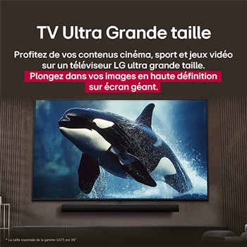 LG TV avec un écran d’une taille impressionnante fixé sur un mur au-dessus d’une LG Soundbar dans un salon au style moderne.