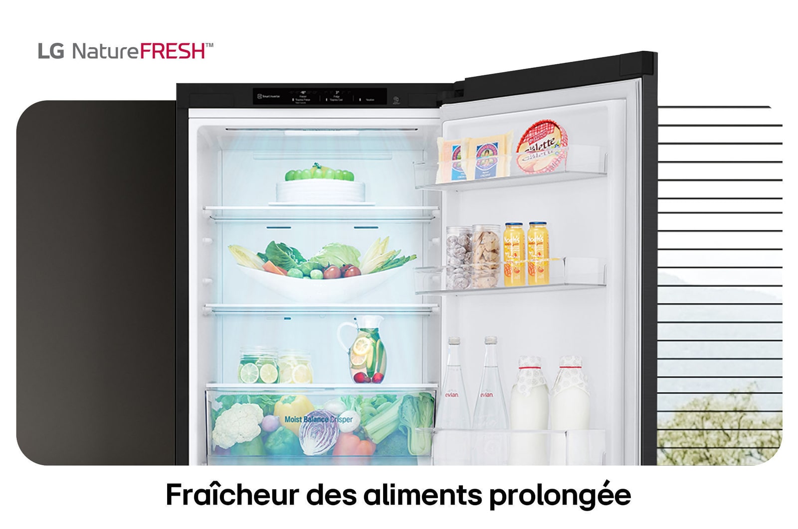 Réfrigérateur-congélateur LG GBV3100EEP illustre l'intérieur NatureFRESH avec tiroir Moist Balance Crisper rempli pour une fraîcheur longue durée.
