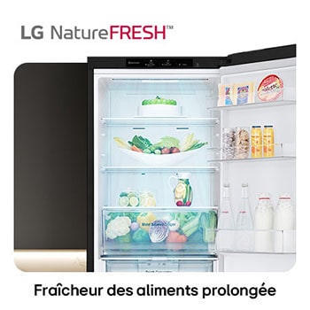 Réfrigérateur-congélateur LG GBV3100EEP illustre l'intérieur NatureFRESH avec tiroir Moist Balance Crisper rempli pour une fraîcheur longue durée.