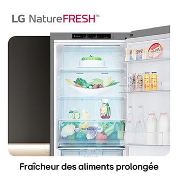 Réfrigérateur-congélateur LG GBV3100DPY illustre l'intérieur NatureFRESH avec tiroir Moist Balance Crisper rempli pour une fraîcheur longue durée.