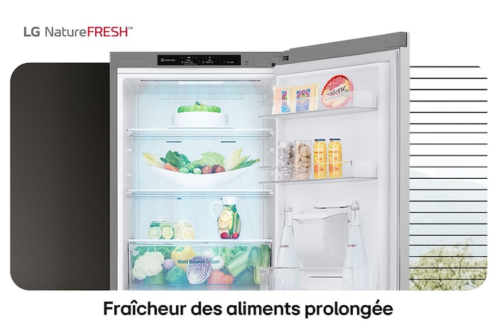 Réfrigérateur-congélateur LG GBF3102DPY illustre l'intérieur NatureFRESH avec tiroir Moist Balance Crisper rempli pour une fraîcheur longue durée.