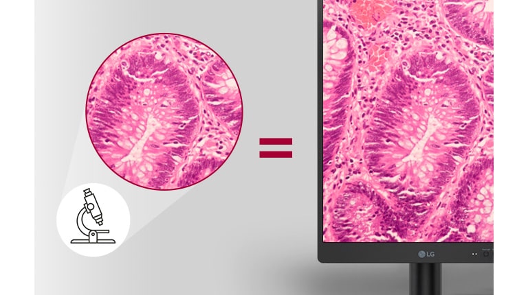 Reproduction des couleurs fidèle à la réalité1