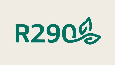 Texte vert R290 avec une icône de feuille représentant le réfrigérant utilisé dans le climatiseur portable LG.