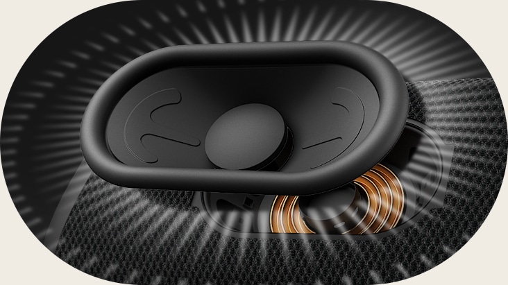 Vue rapprochée du woofer track type