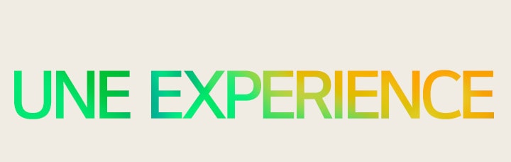 Les mots "ONE EXPERIENCE" dans un motif dégradé vert et jaune.