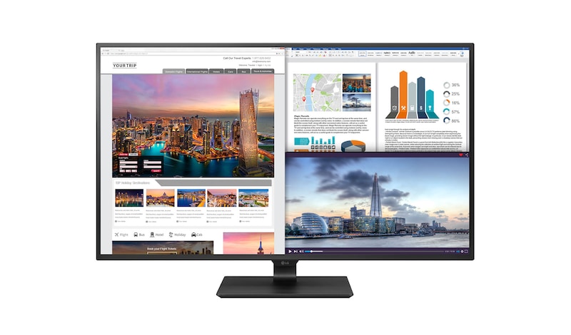 LG 43" (108 cm) | 4K UHD IPS LED, LG 43UD79