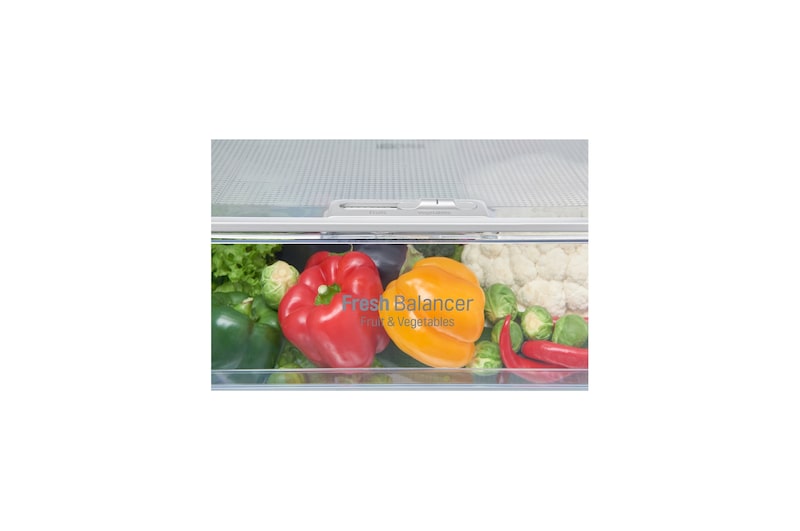 LG Réfrigérateur combiné | Total No Frost | Compresseur linéaire inverter | 37dB | Connecté Wi-Fi | Moist Balance Crisper | Fresh converter , LG GBW6346SBL