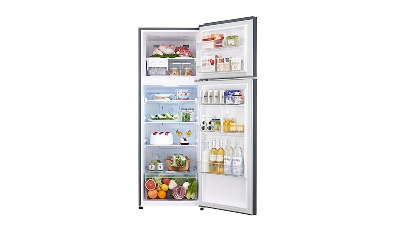 LG Réfrigérateur 2 portes | 254L | Eclairage LED | Twist ice | Magic crisper | No Frost | A+, LG GR5511PS