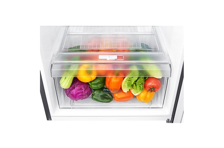LG Réfrigérateur 2 portes | Total No Frost | Compresseur linéaire inverter | Door Cooling | F, LG GT5525PS