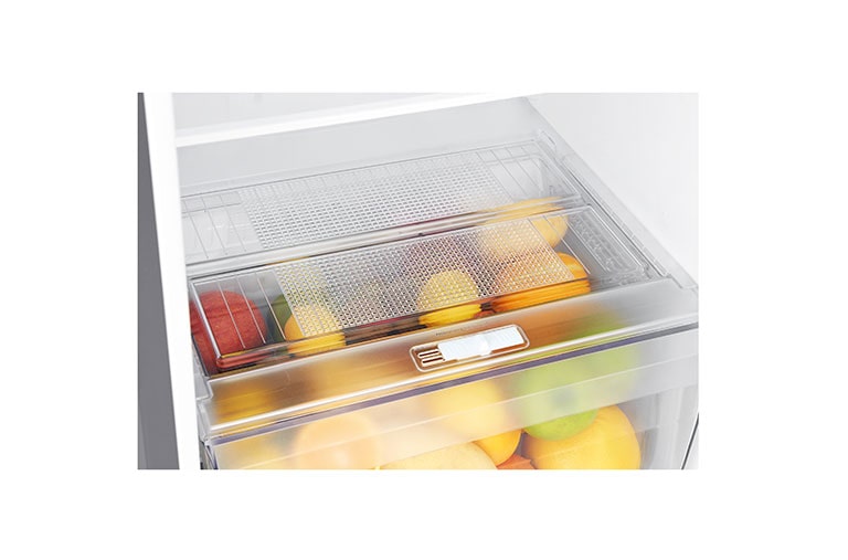 LG Réfrigérateur 2 portes | Total No Frost | Compresseur linéaire inverter | Door Cooling | F, LG GT5525PS