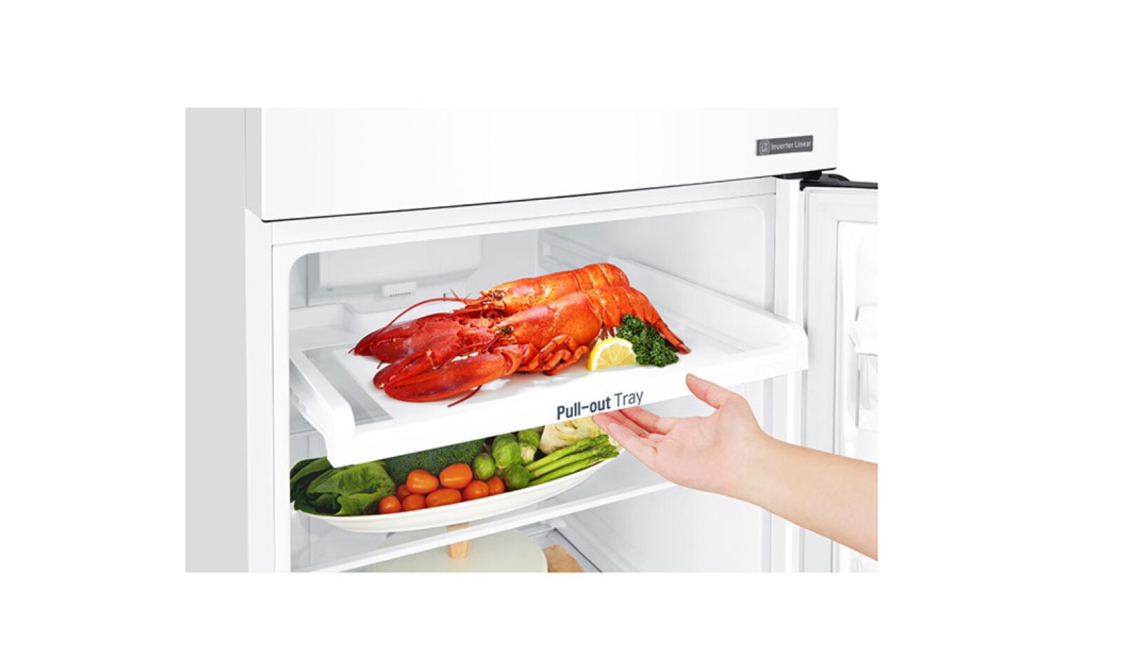 LG Réfrigérateur 2 portes | 254L | Total No Frost | Compresseur linéaire inverter | Door Cooling | F, LG GT5525WH