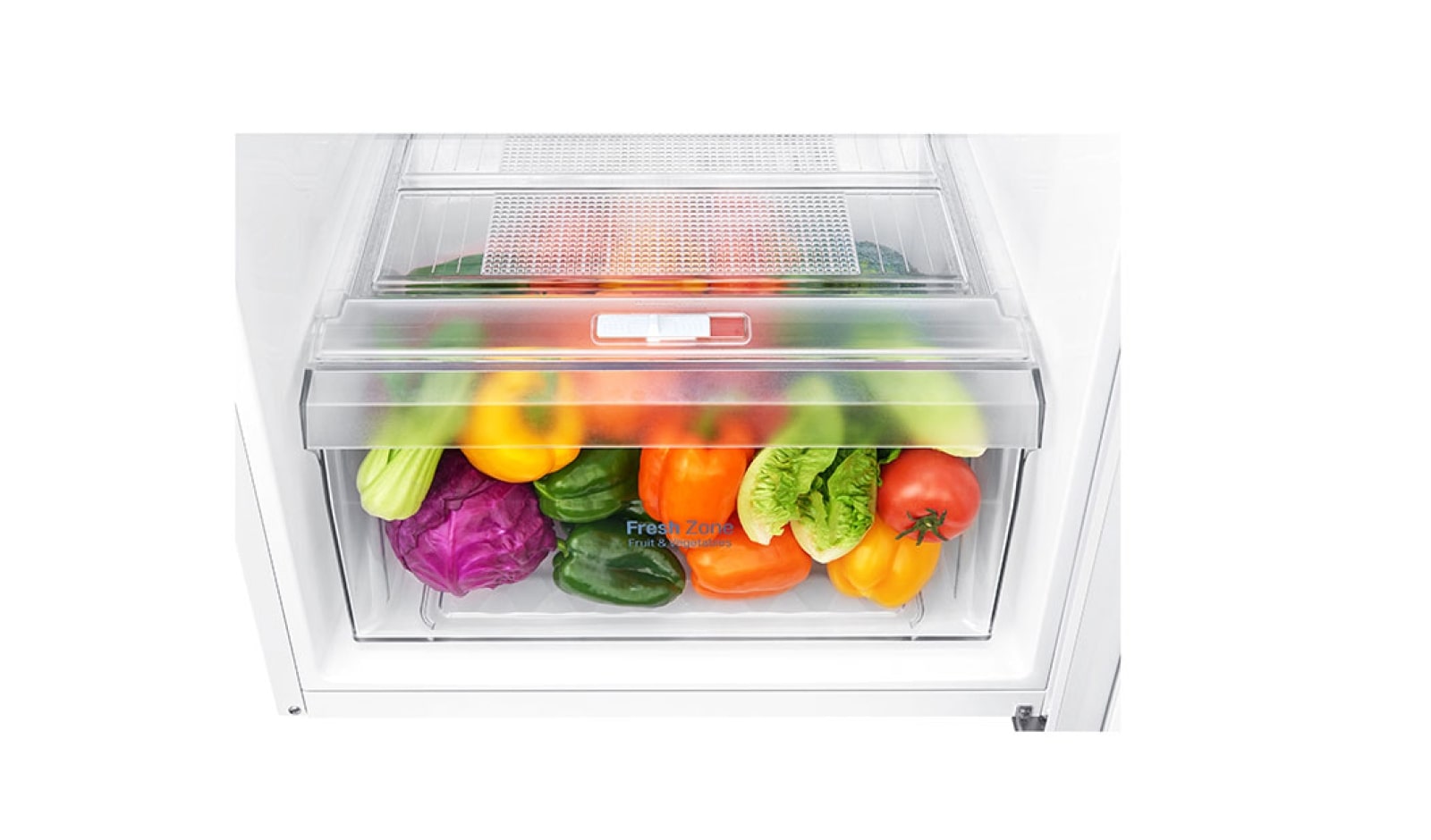 LG Réfrigérateur 2 portes | 254L | Total No Frost | Compresseur linéaire inverter | Door Cooling | F, LG GT5525WH