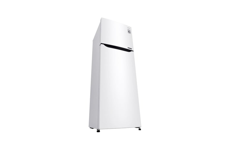 LG Réfrigérateur 2 portes | 254L | Total No Frost | Compresseur linéaire inverter | Door Cooling | F, LG GT5525WH