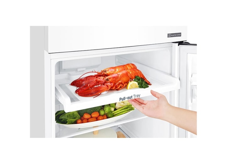 LG Réfrigérateur 2 portes | 254L | Total No Frost | Compresseur linéaire inverter | Door Cooling | F, LG GT5525WH