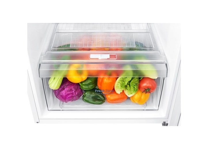 LG Réfrigérateur 2 portes | 254L | Total No Frost | Compresseur linéaire inverter | Door Cooling | F, LG GT5525WH