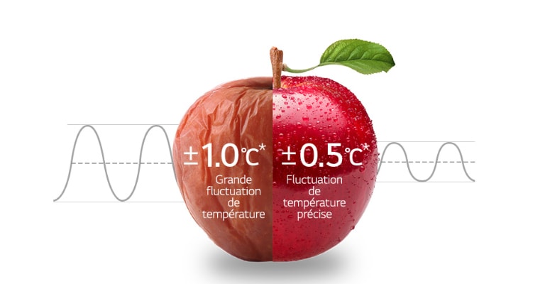 Effet du froid uniforme sur la durabilité d'une pomme