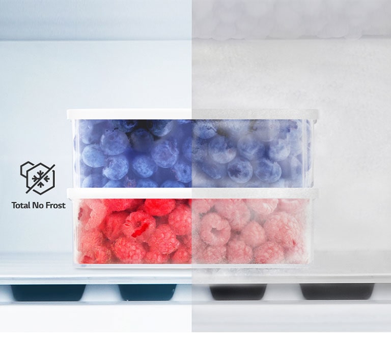 Froid ventilé (Total No Frost)