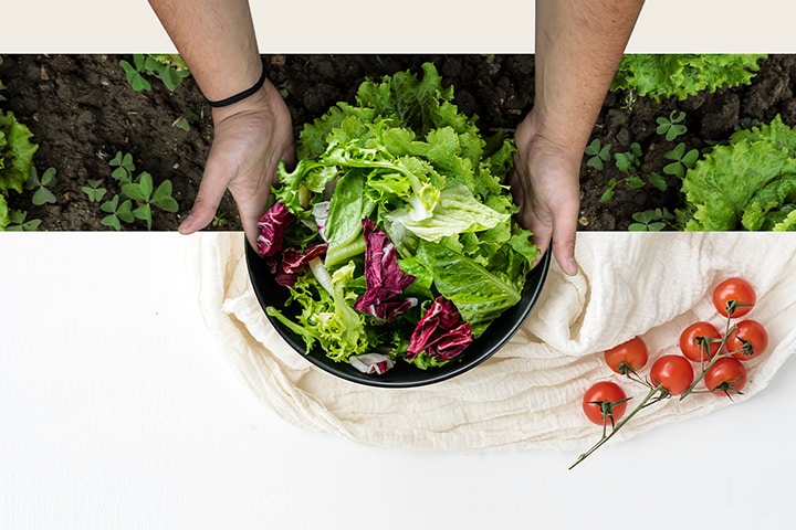 Mains tenant un bol de salade fraîche sur fond de terre, avec des tomates cerises sur une serviette blanche.