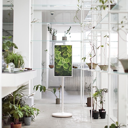 Le téléviseur StanbyME est placé dans un jardin botanique blanc, tourné vers l’avant. L’écran montre un gros plan d’une plante verte à feuilles.