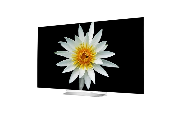LG 55 pources (139cm) | TV OLED | FHD | SMART TV WebOS | HDMI | USB, LG 55EG9A7V
