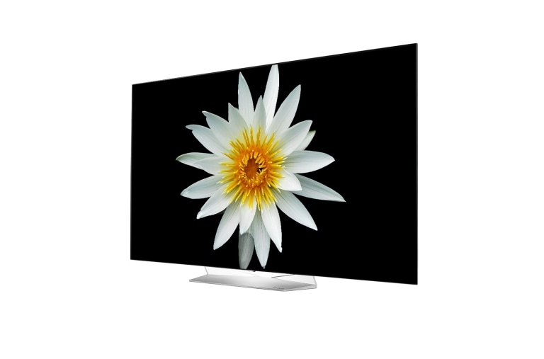 LG 55 pources (139cm) | TV OLED | FHD | SMART TV WebOS | HDMI | USB, LG 55EG9A7V