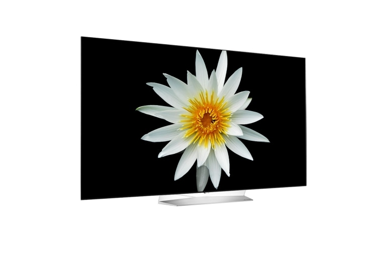 LG 55 pources (139cm) | TV OLED | FHD | SMART TV WebOS | HDMI | USB, LG 55EG9A7V