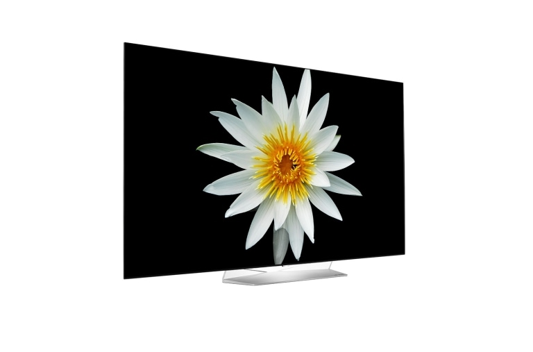 LG 55 pources (139cm) | TV OLED | FHD | SMART TV WebOS | HDMI | USB, LG 55EG9A7V