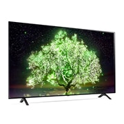 LG TV LG OLED A1 | 2021 | 65'' (164 cm) | UHD | α7 Gen4 AI 4K, LG OLED65A16LA