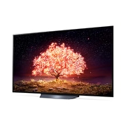 LG TV LG OLED B1 | 2021 | 65'' (164 cm) | UHD | α7 Gen4 AI 4K, LG OLED65B16LA