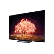 LG TV LG OLED B1 | 2021 | 65'' (164 cm) | UHD | α7 Gen4 AI 4K, LG OLED65B16LA