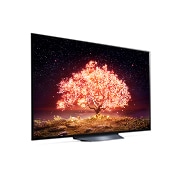 LG TV LG OLED B1 | 2021 | 65'' (164 cm) | UHD | α7 Gen4 AI 4K, LG OLED65B16LA