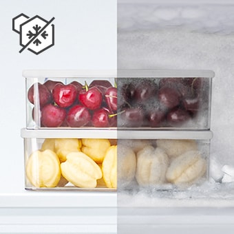 Fruits à moitié congelés, à moitié décongelés avec l’icône Total No Frost
