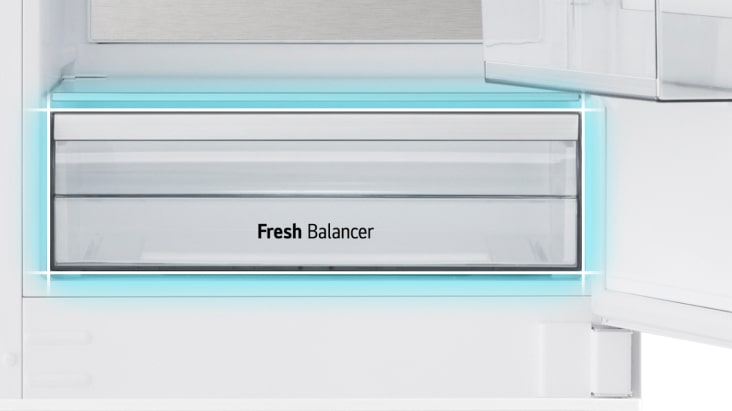 Gros plan sur le tiroir à légumes frais.