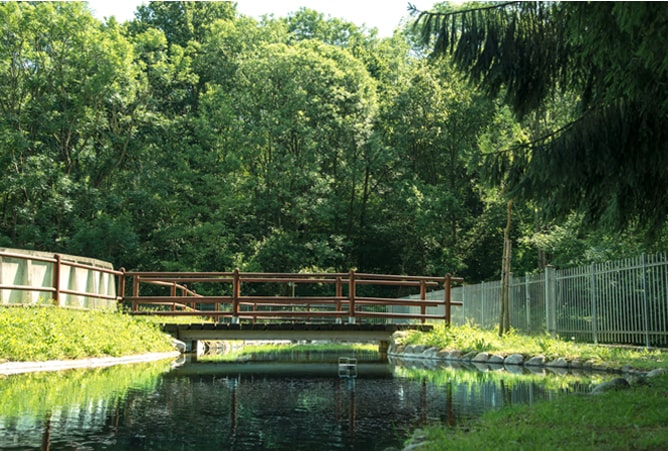 A bridge over a stream.