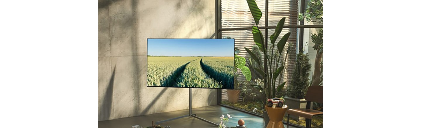 LG OLED TV in the corner of a room with various plants.