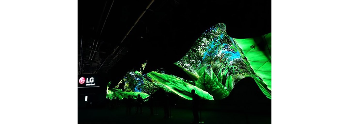 A wide-angle shot of LG Wave in the large and dark CES 2020 convention hall while displaying the vibrant greens and blues of a rainforest.