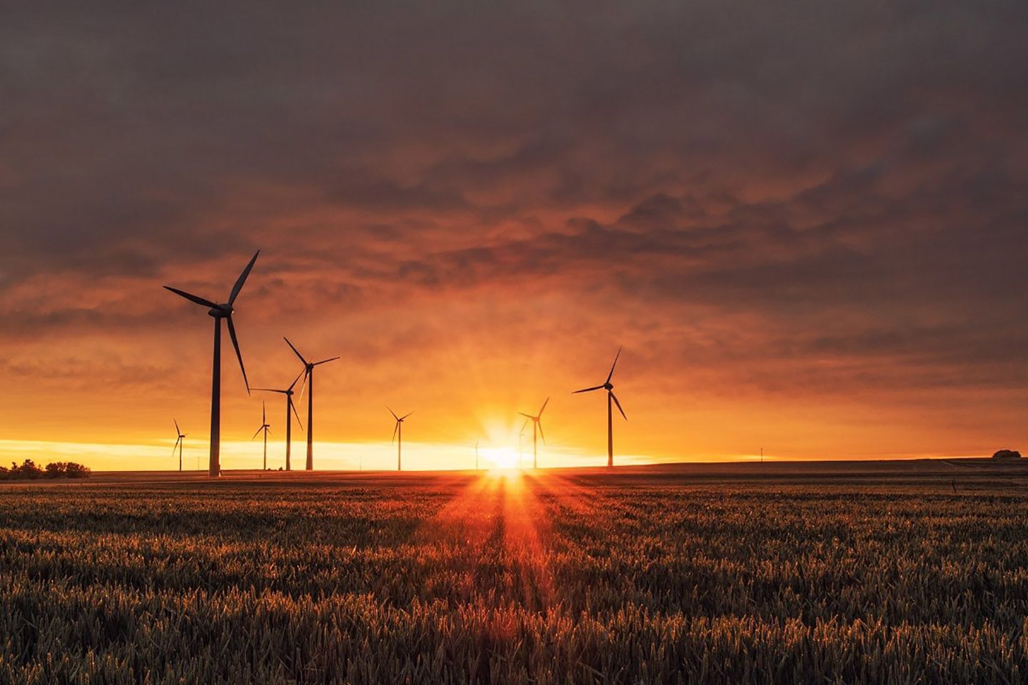 A large field with several wind turbines during a beautiful sunset. 
