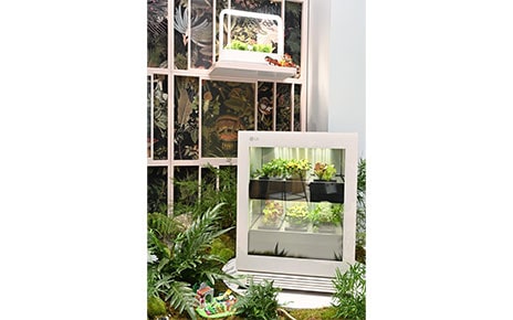 Bringing Plant Into the Home Interior: The Trendsetting LG tiiun