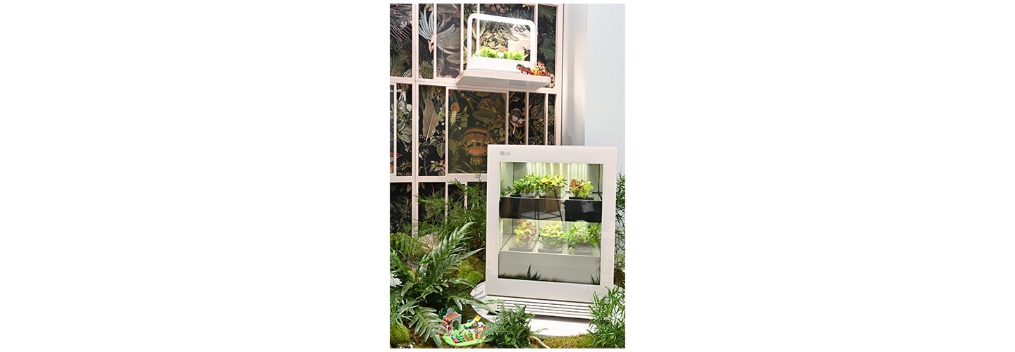 Bringing Plant Into the Home Interior: The Trendsetting LG tiiun