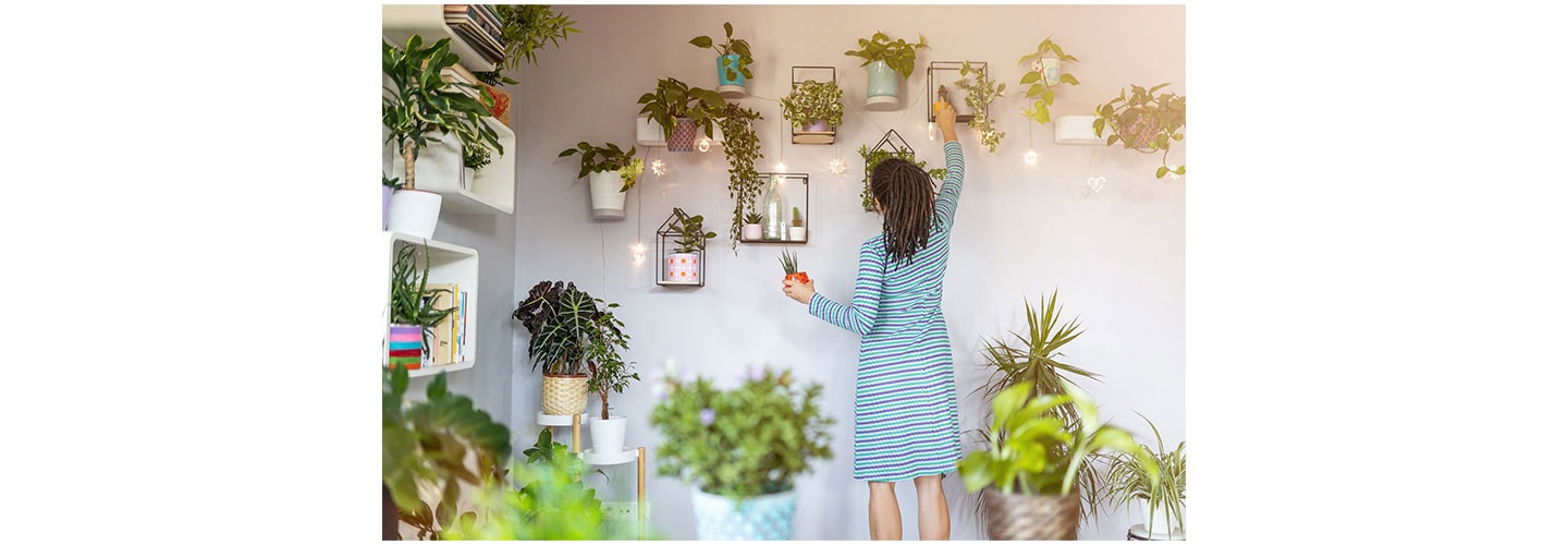 Bringing Plant Into the Home Interior: The Trendsetting LG tiiun