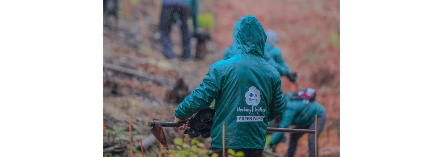 Volunteer workers planting trees as part of LG Spain’s Smart Green Movement.