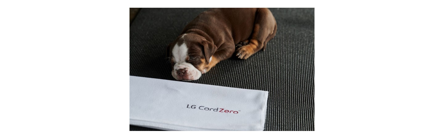 Namaste With Puppies and LG CordZero™